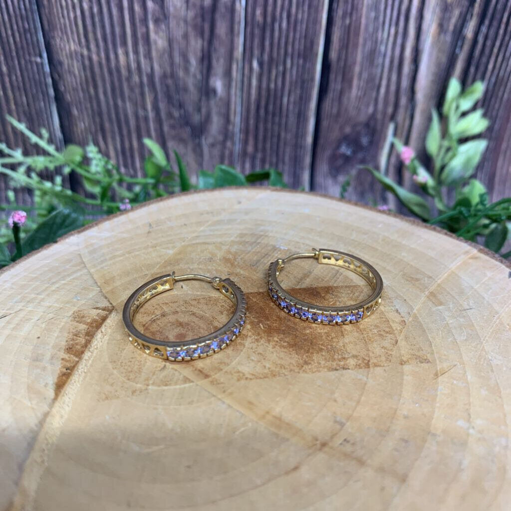 14k Gem Hoop Errngs