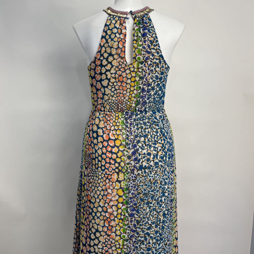 HD in Paris slvls maxi Dress