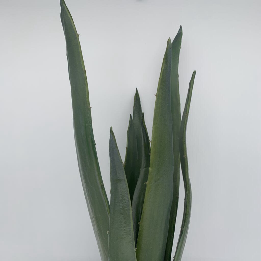 Faux Potted Agave