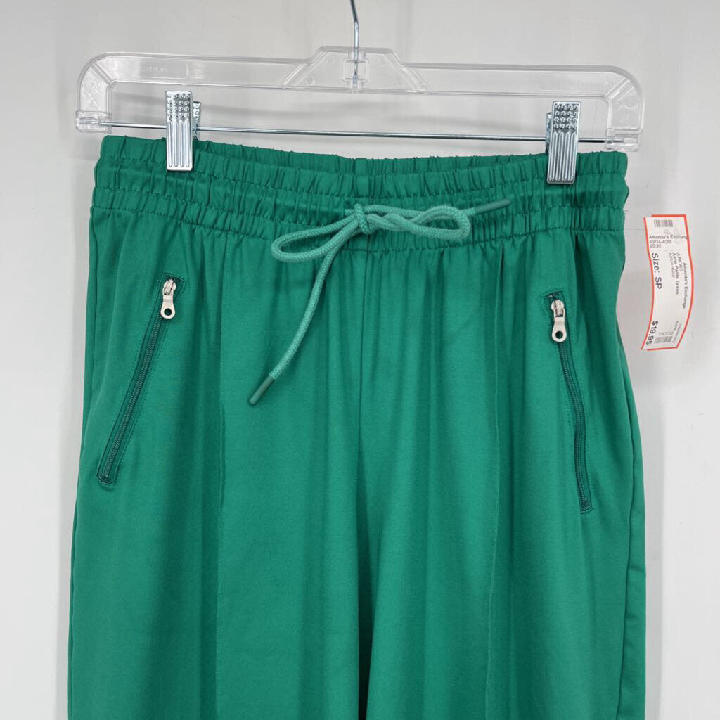 Aerie Pants