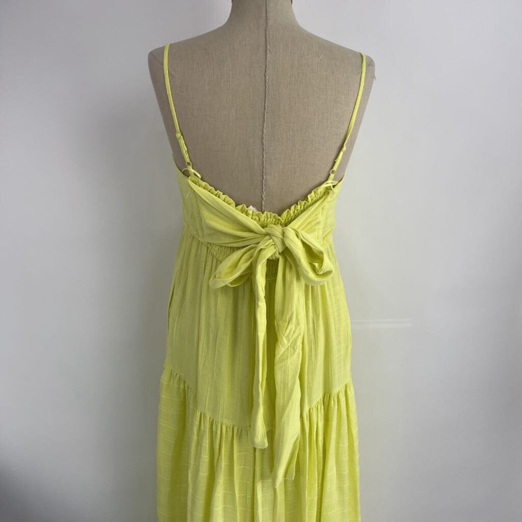 Haute Hippie Slvls Maxi Dress