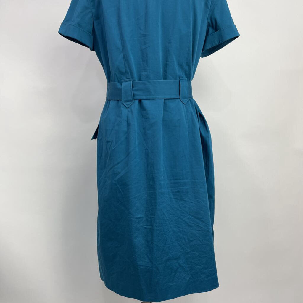Ann Taylor S/s Dress