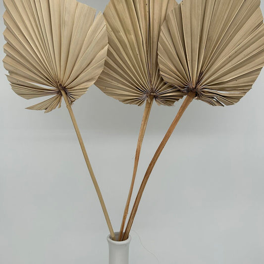 Faux Fan Plant in Vase