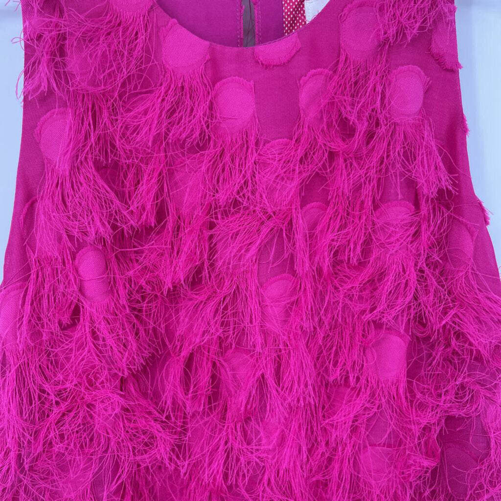 Anthropologie Slvls Fringed Dress