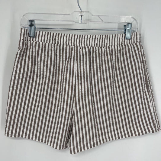 Urban Renewal Stripe Shorts