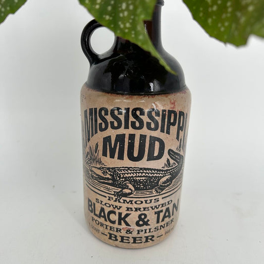 Angel Wing Plant in Mississippi Mud Bottle
