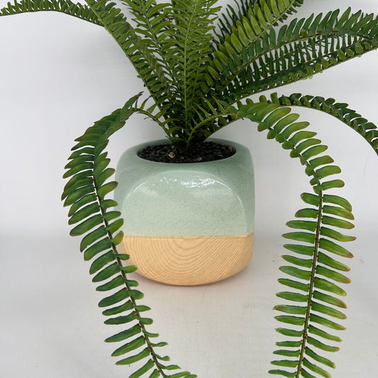 Faux Plant in Two-Tone Planter