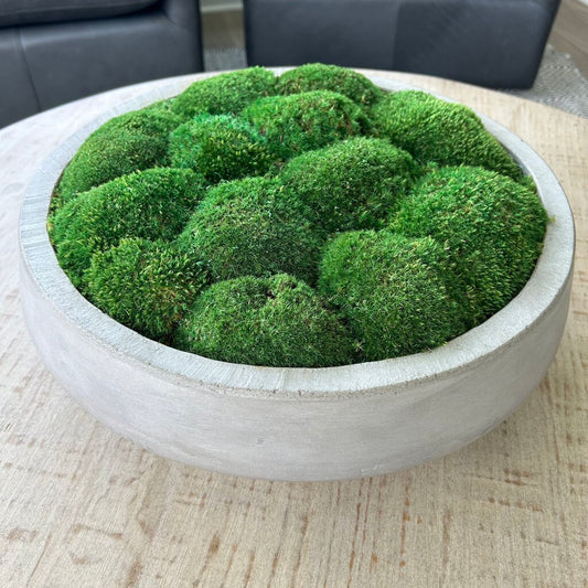 Concrete Pot with Moss