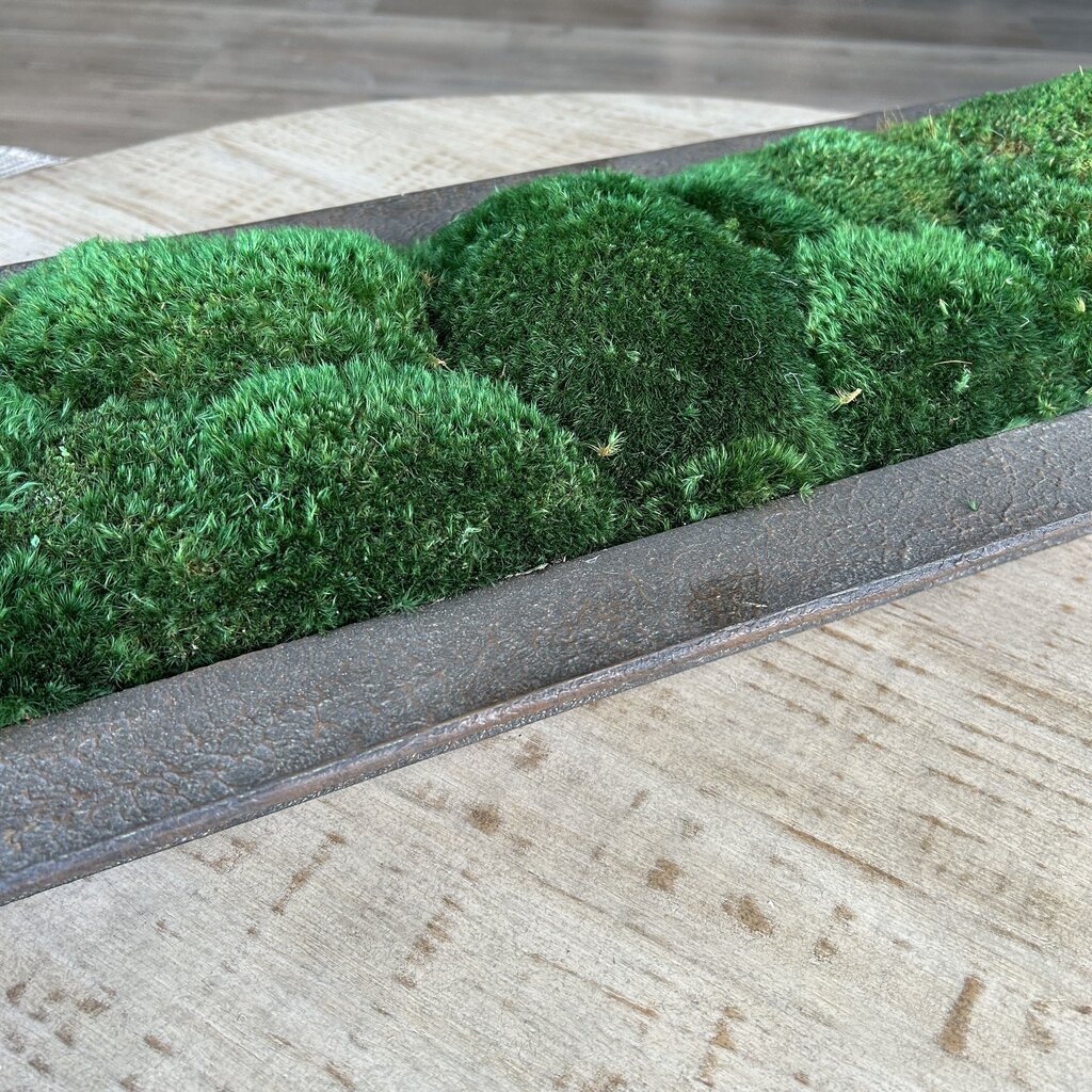 Metal Rectangular Tray with Moss