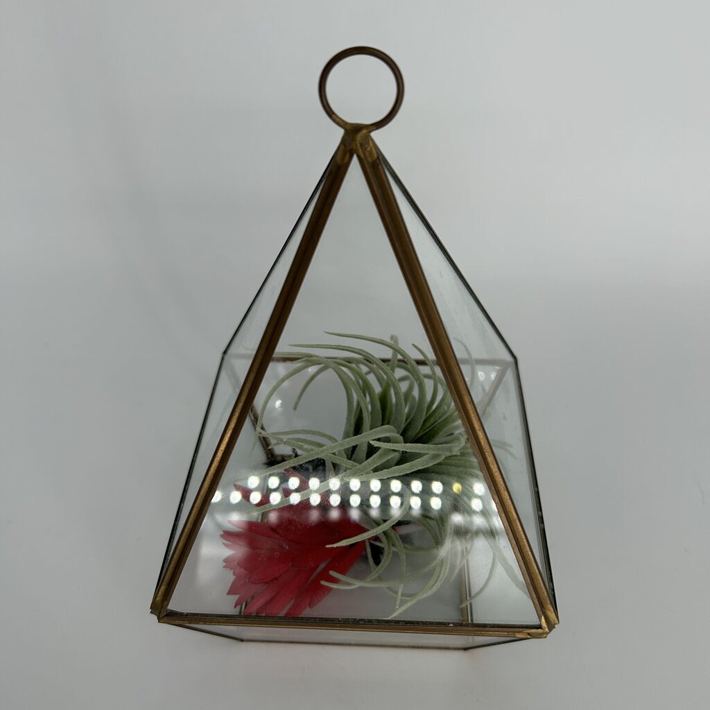 Faux Air Plants in Terrarium