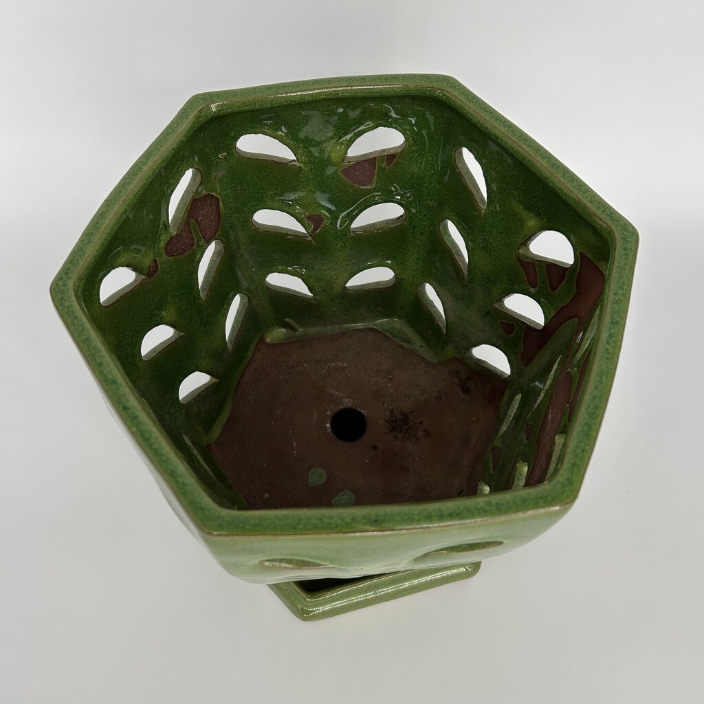 Terracotta Planter Pot