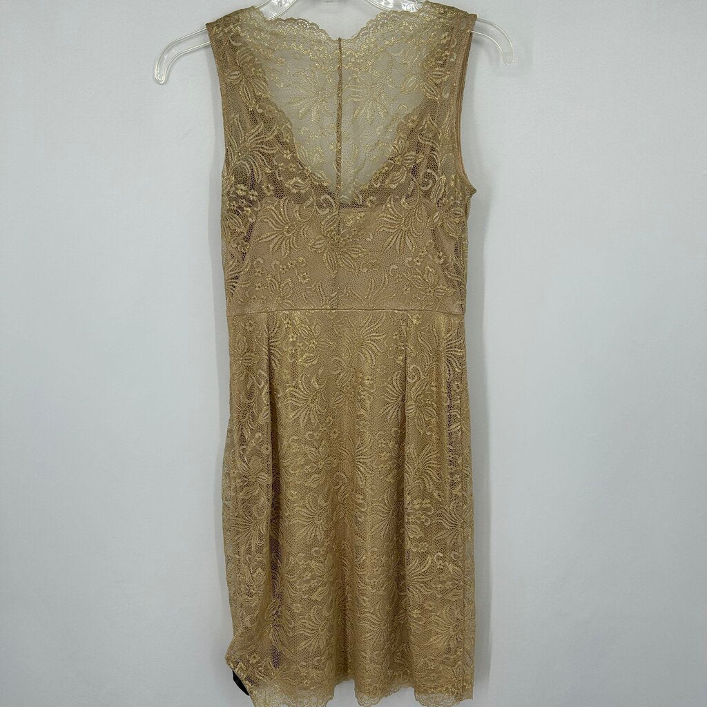 BCBG Lace Dress