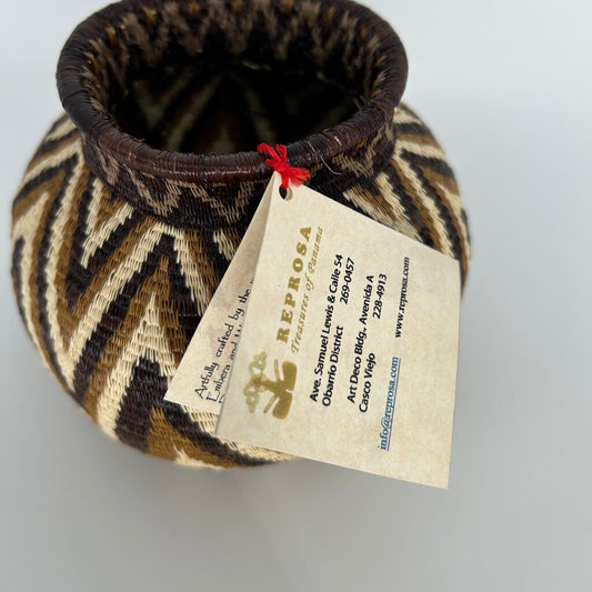 Chevron Stripe Rainforest Basket