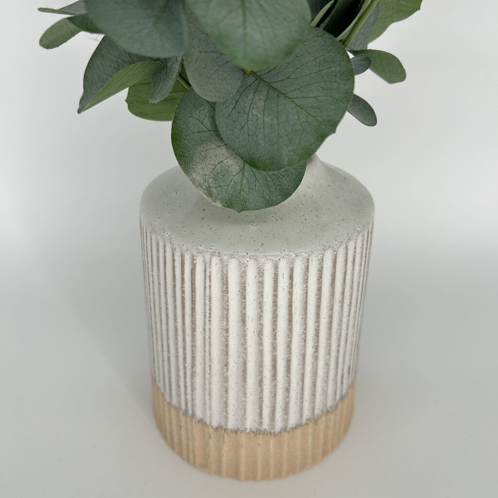 Eucalyptus in Ridged Vase