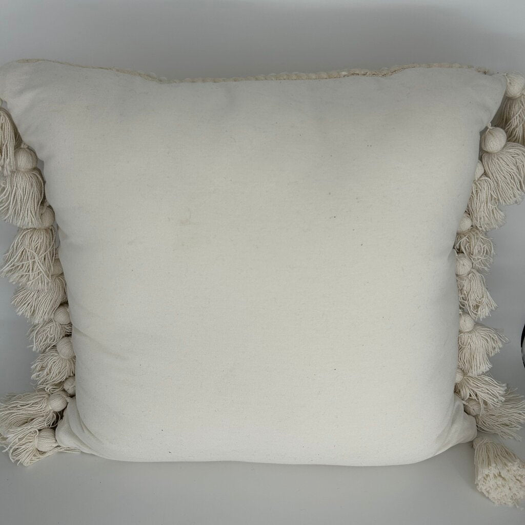 Thick Weave Tassel Pillow