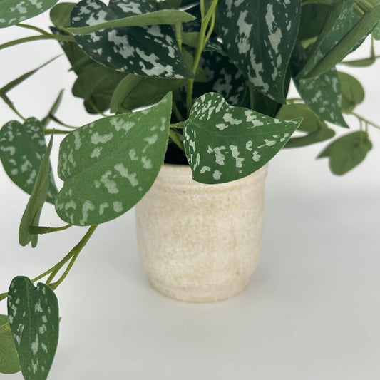Faux Pothos in Pot