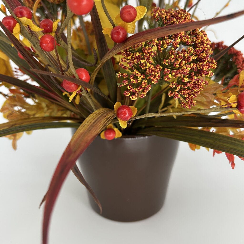 Fall Foliage in Pot