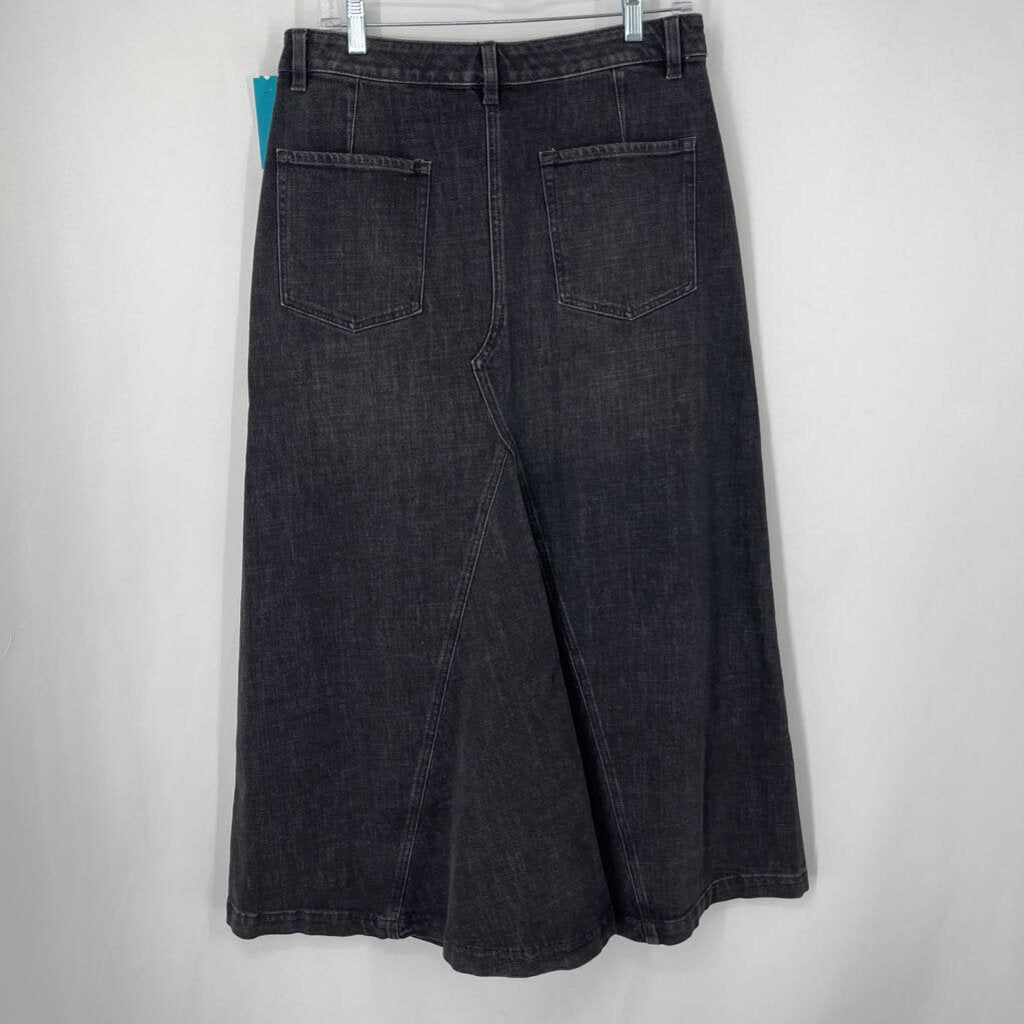 Banana Republic Maxi Skirt