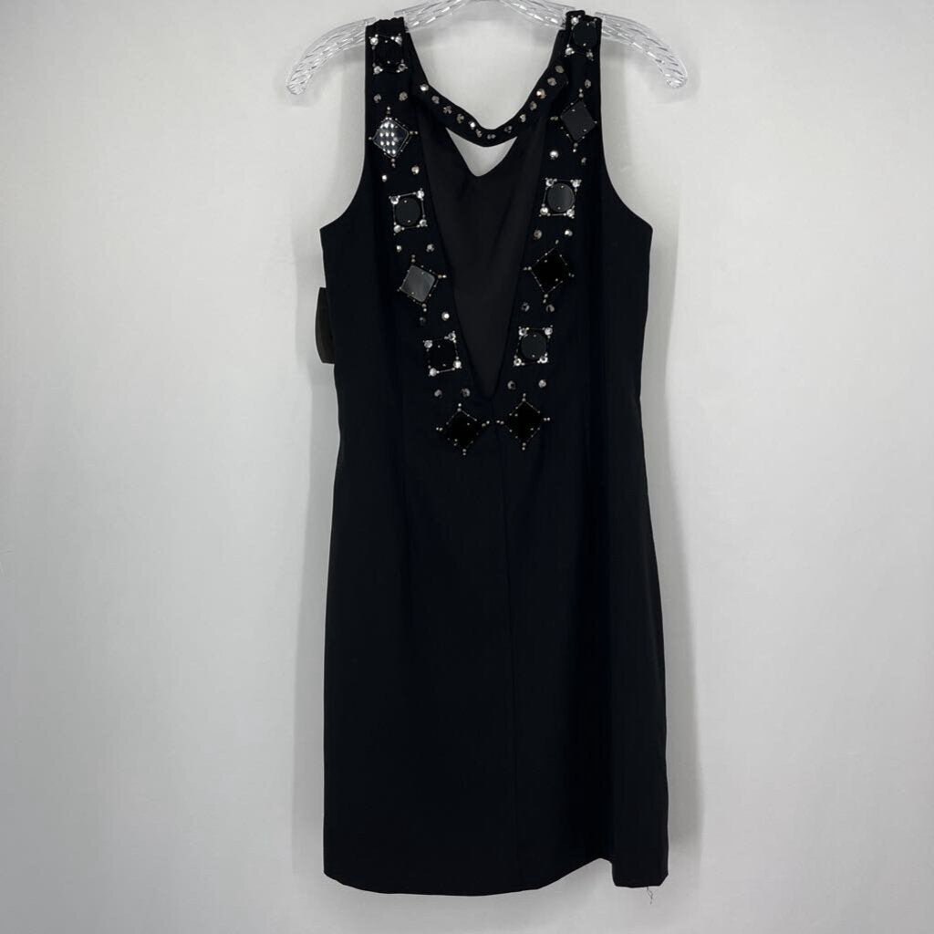 Ann Taylor Slvls Dress