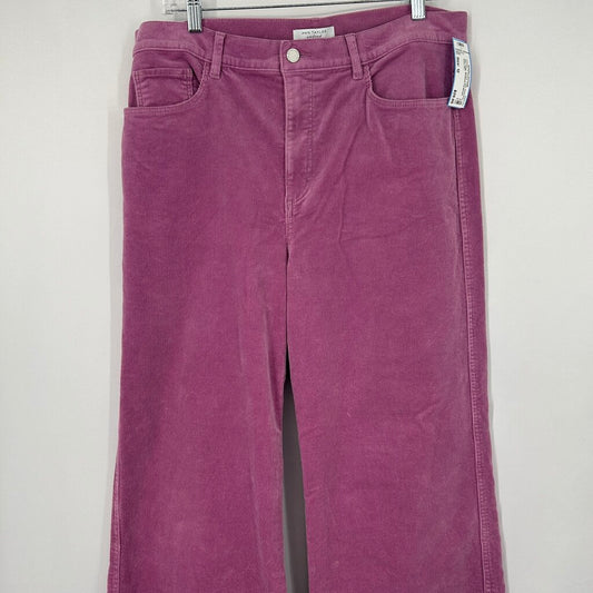 Ann Taylor Weekend Corduroys