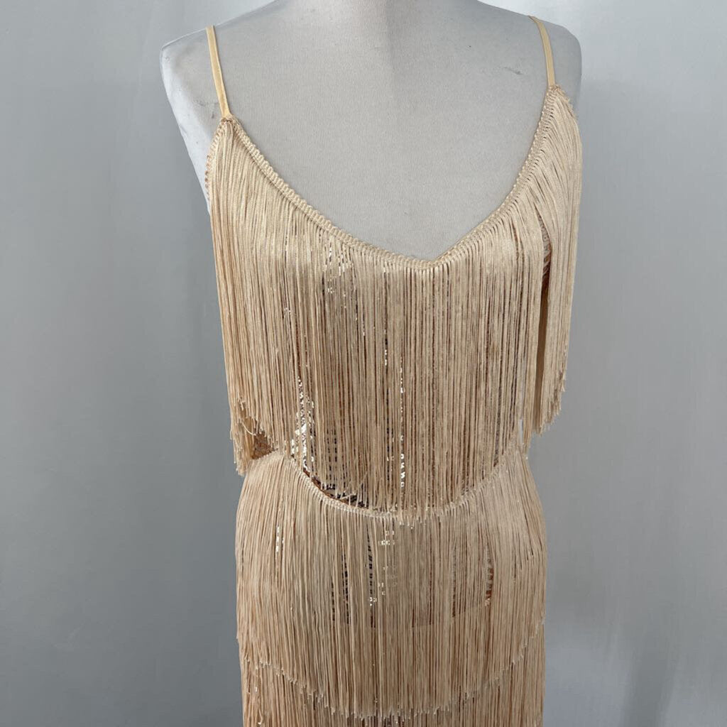Lulu's Sequin Dress w Fringe