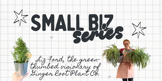 Small Business Spotlight: Ginger Root Plant Co.