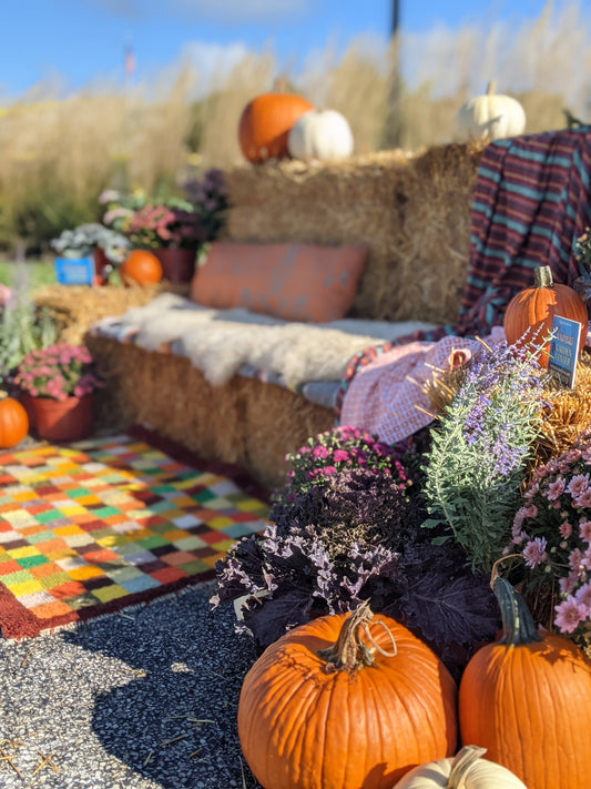 Hamilton County Fall Bucket List