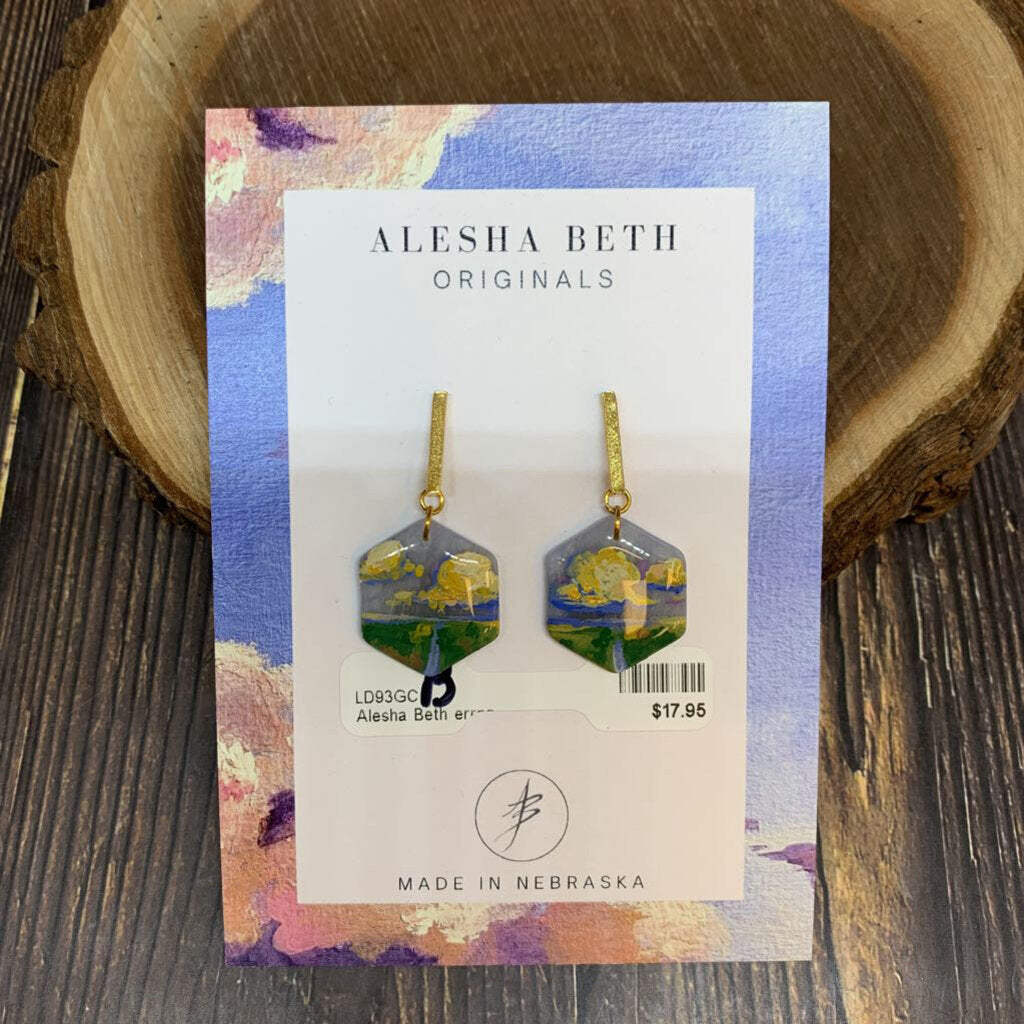 Alesha Beth Hand Painted Earrings NEW