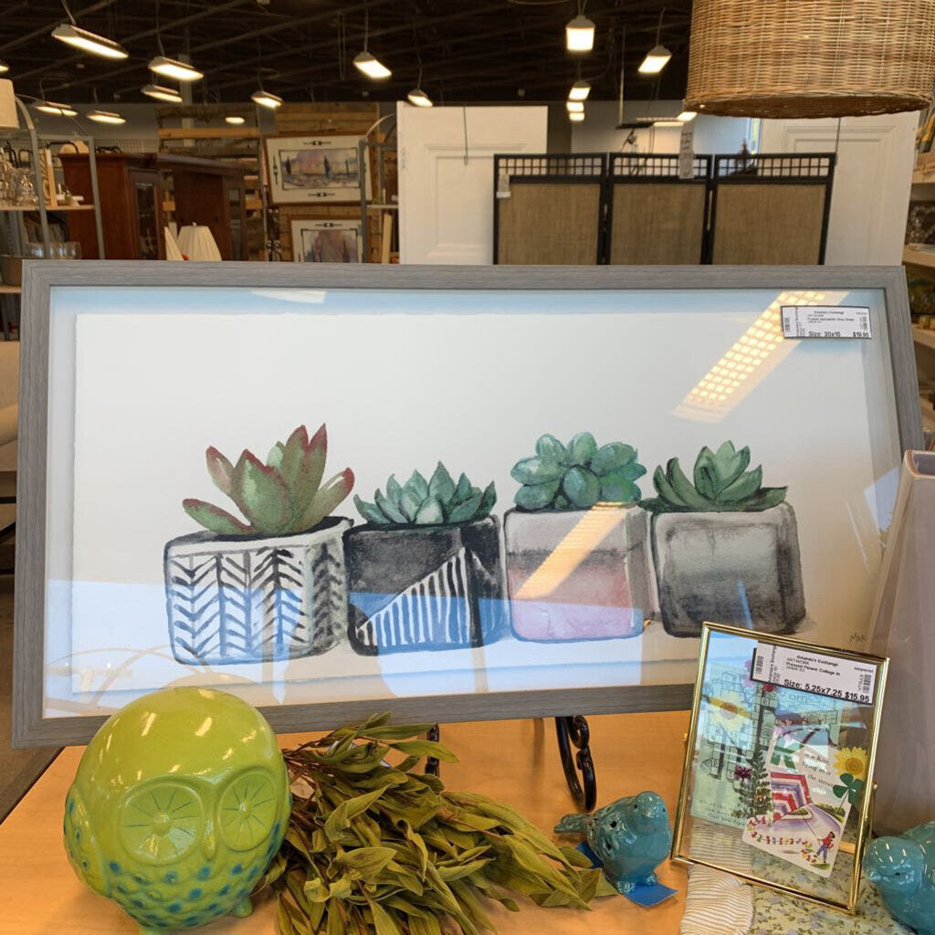 Framed Succulents