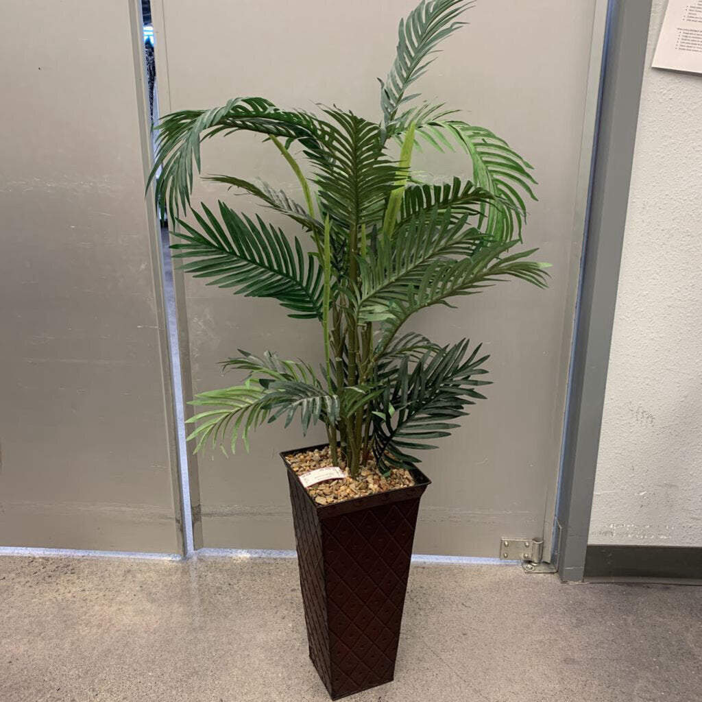 Potted Palm Tree