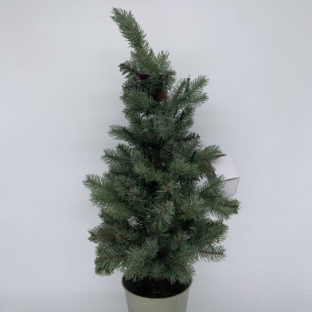 Pottery Barn Blue Spruce in Bucket