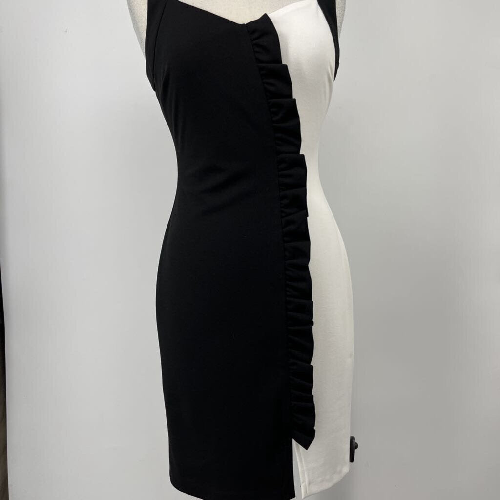 Frank Lyman slvls Dress