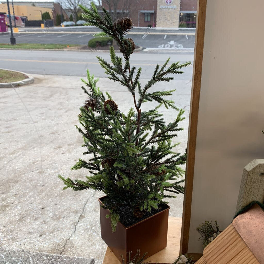 Tree in Metal Planter