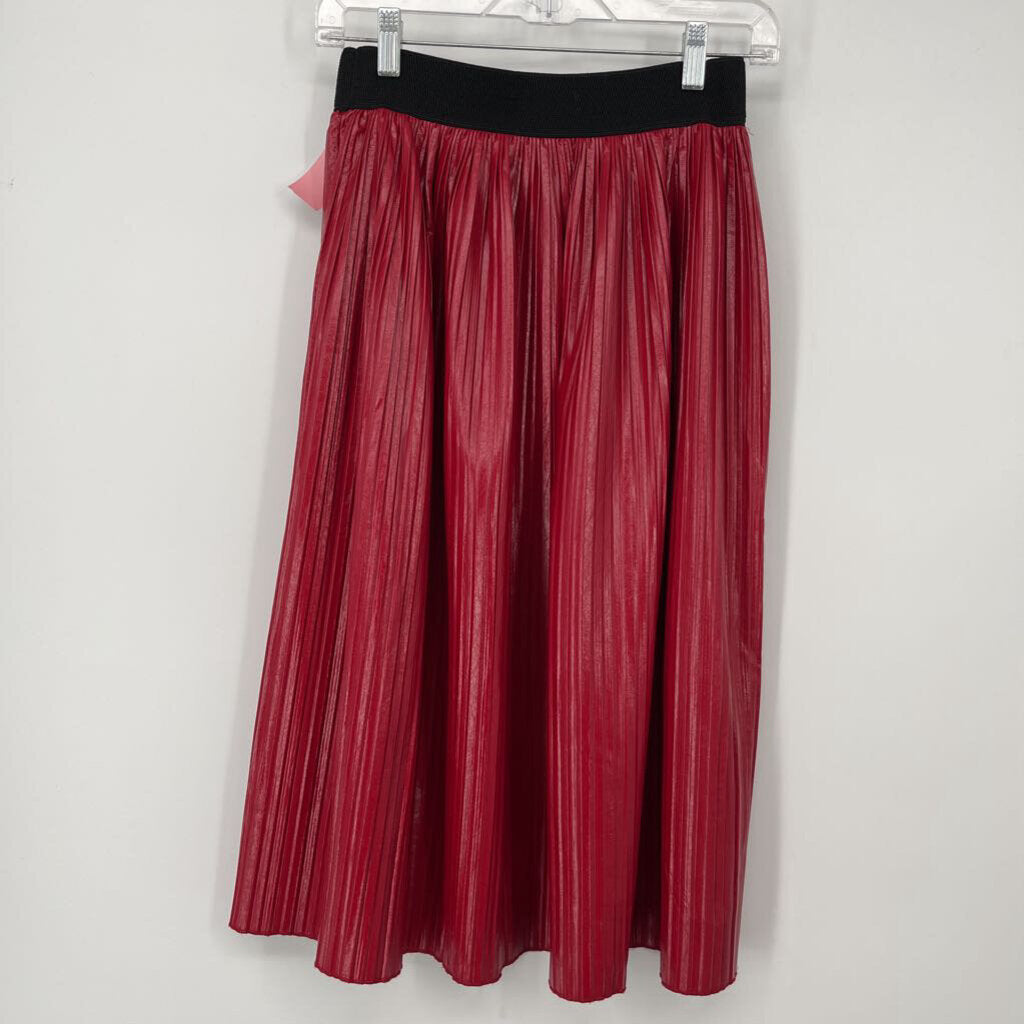 Zara Faux Leather Skirt