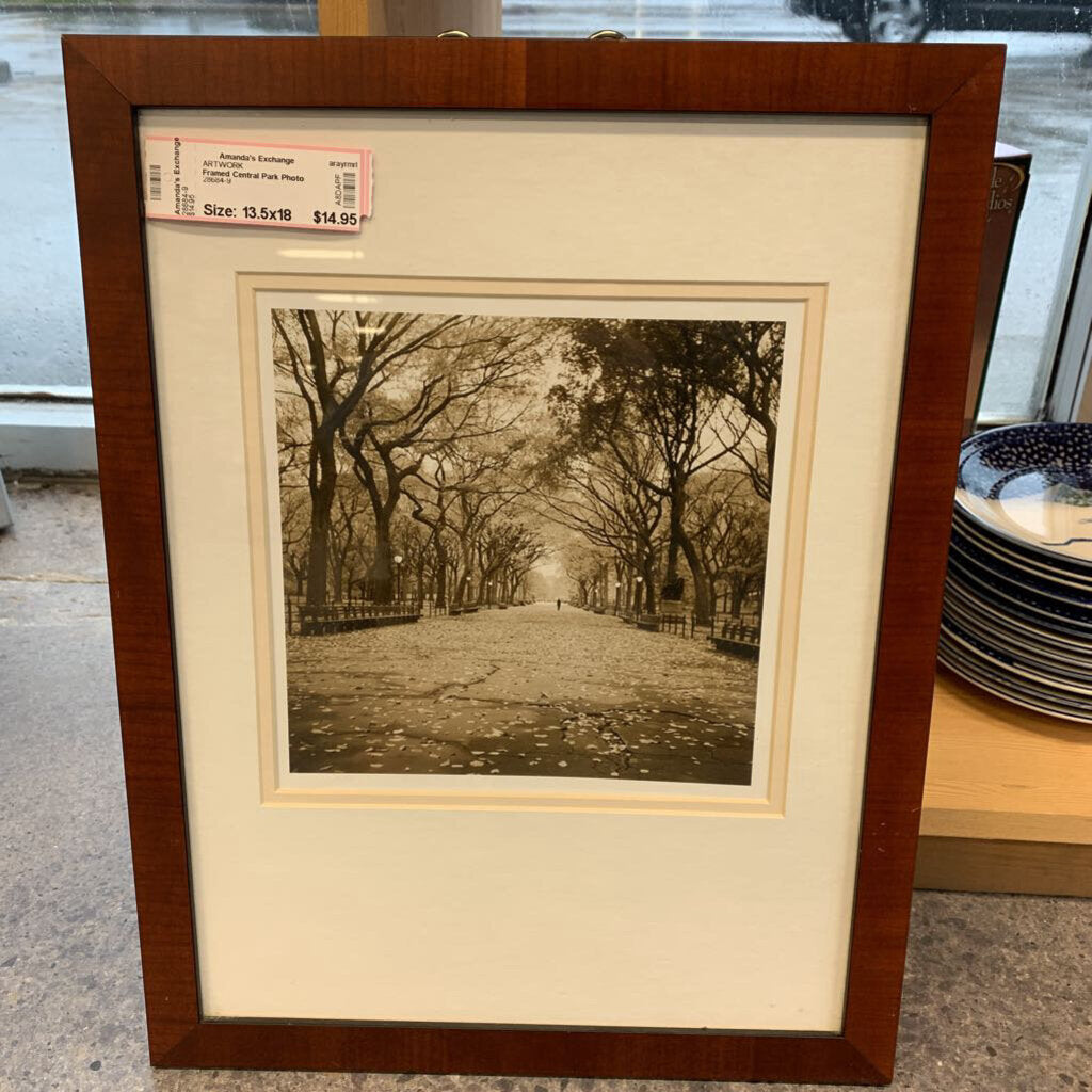 Framed Central Park Photo