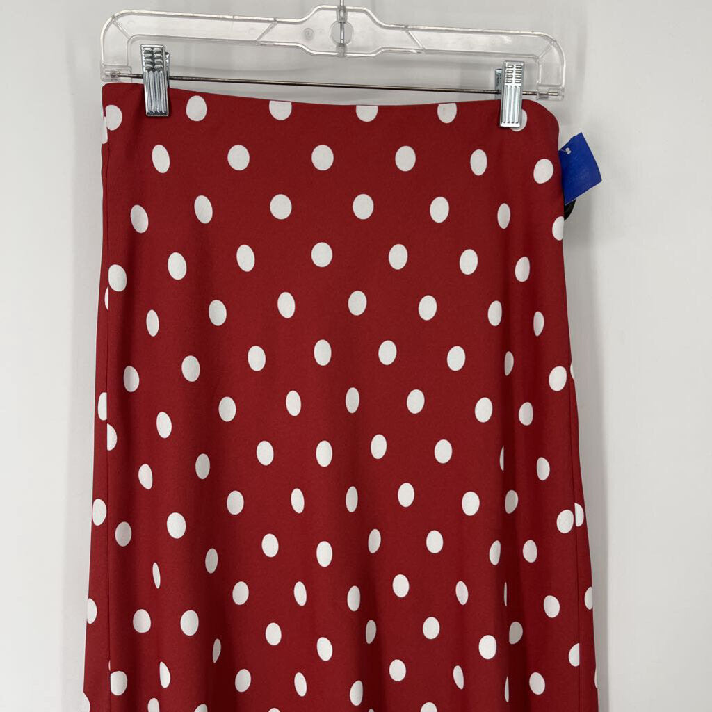 Ann Taylor Polka Dot Skirt