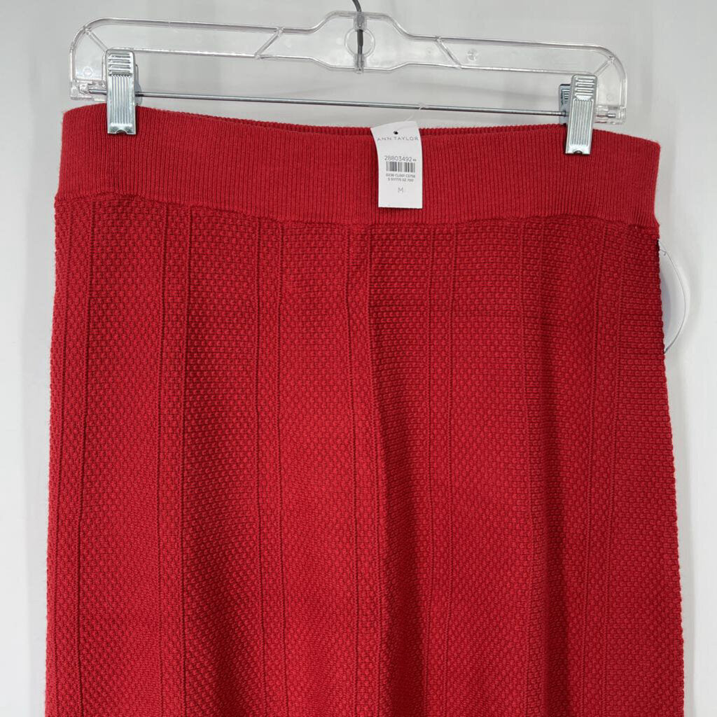 Ann Taylor Skirt