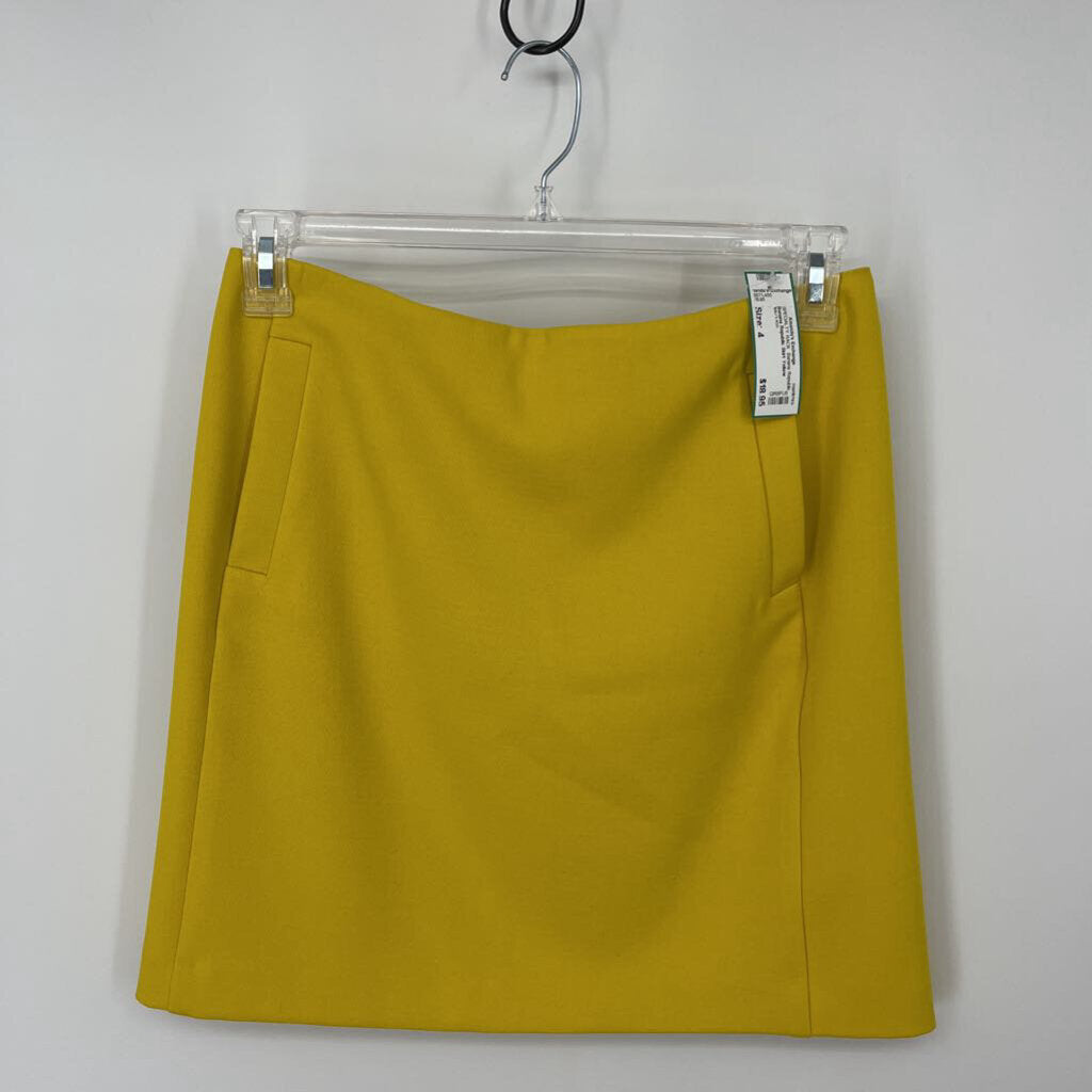 Banana Republic Skirt