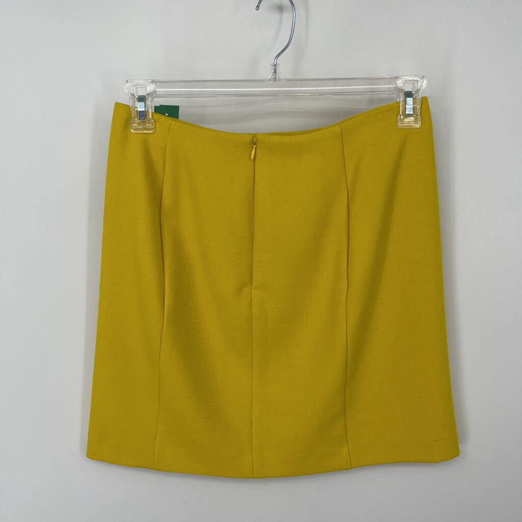 Banana Republic Skirt