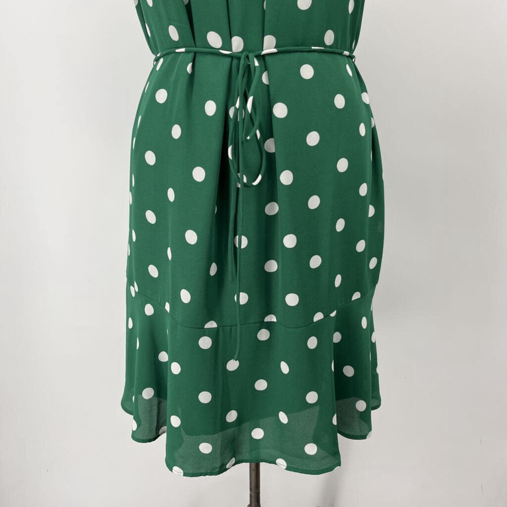 Ann Taylor S/s Polka Dot Dress