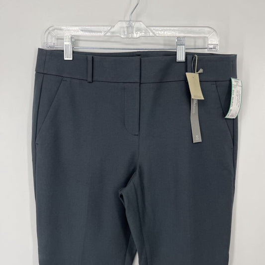 Loft Capri Pants