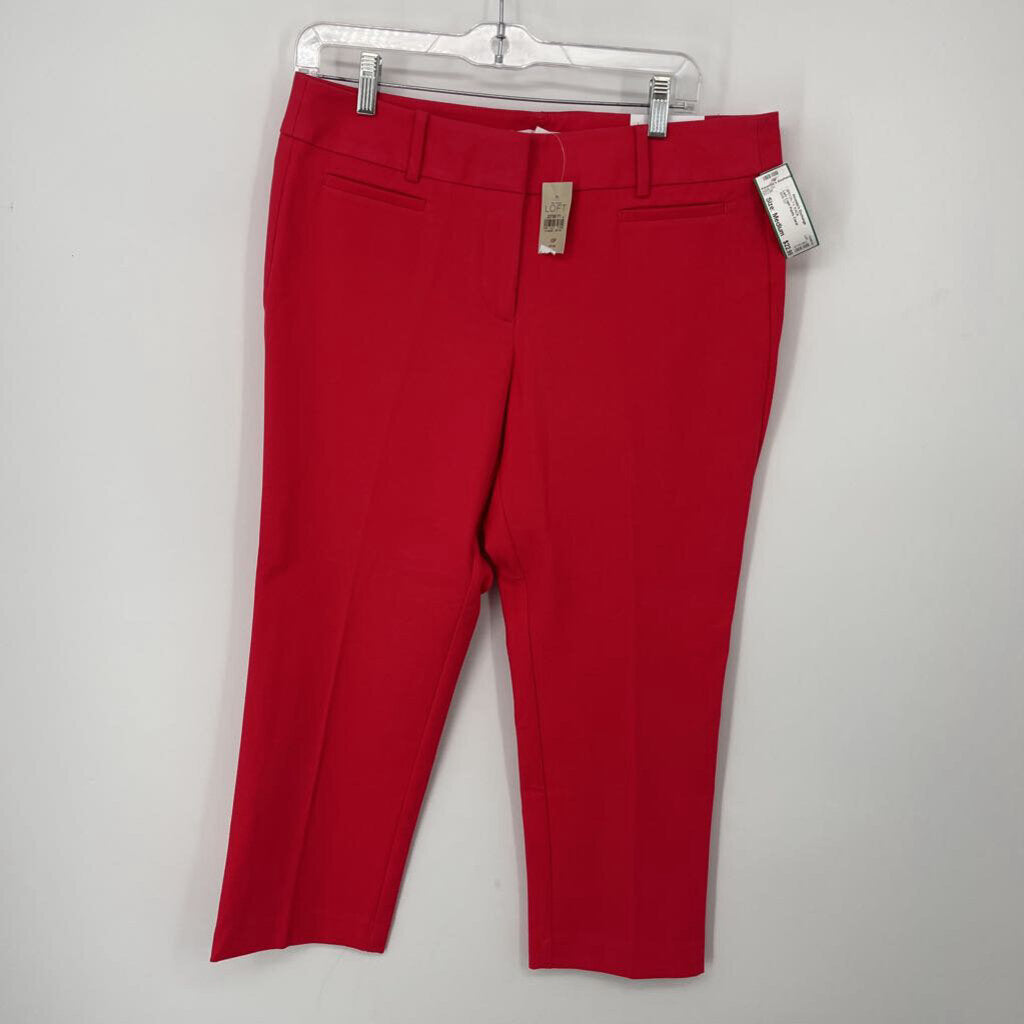 Loft Capri Pants