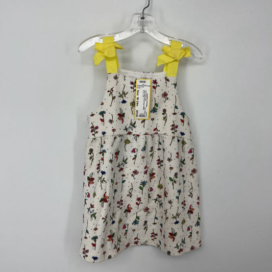 Zara Slvls Floral Dress