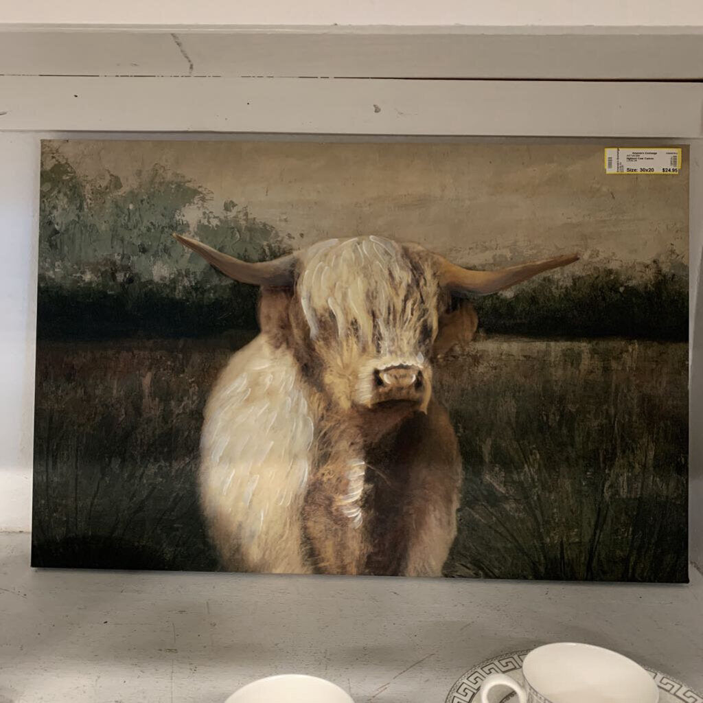 Highland Cow Canvas