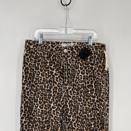 We the Free Leopard Flare Jeans