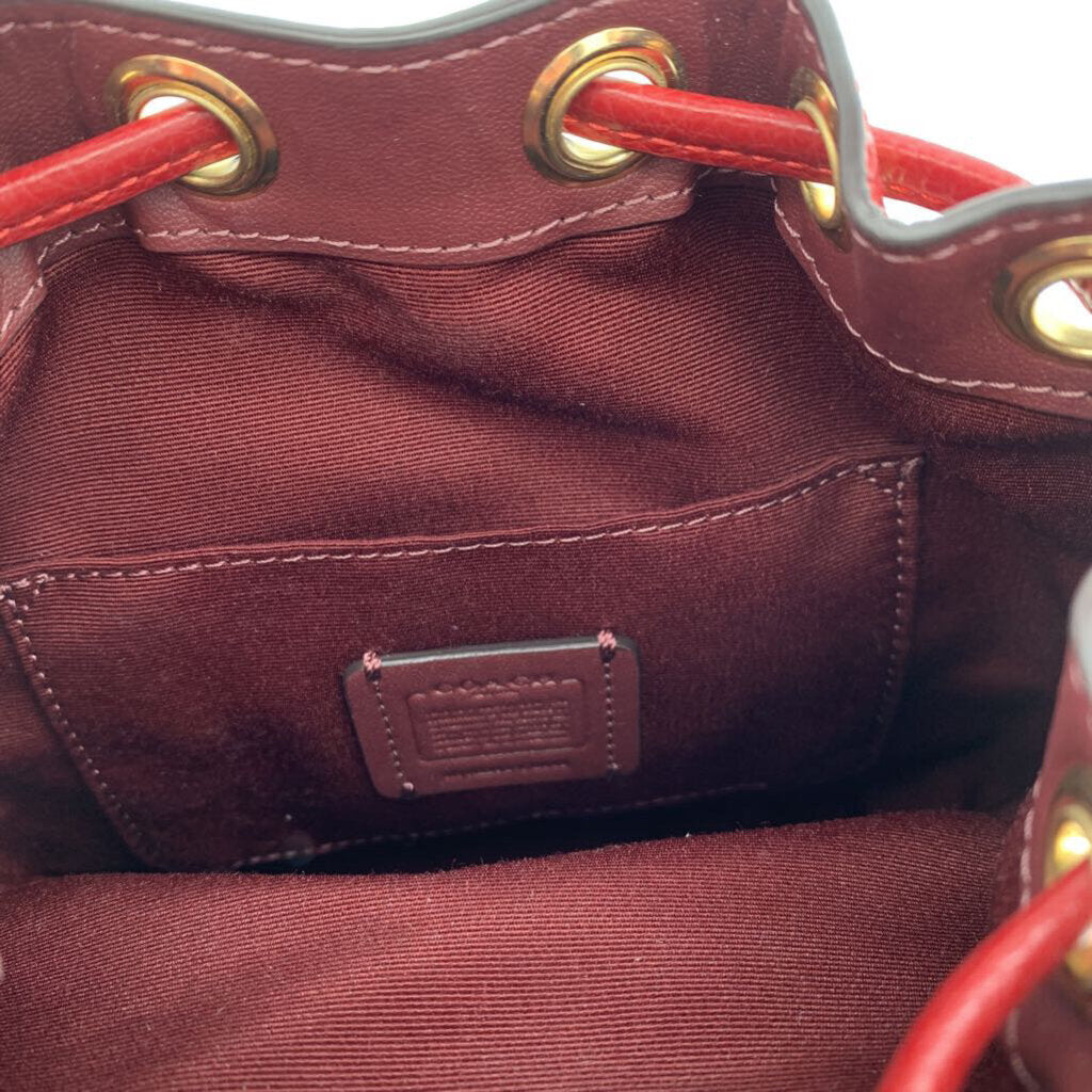 Coach Small Bucket Bag