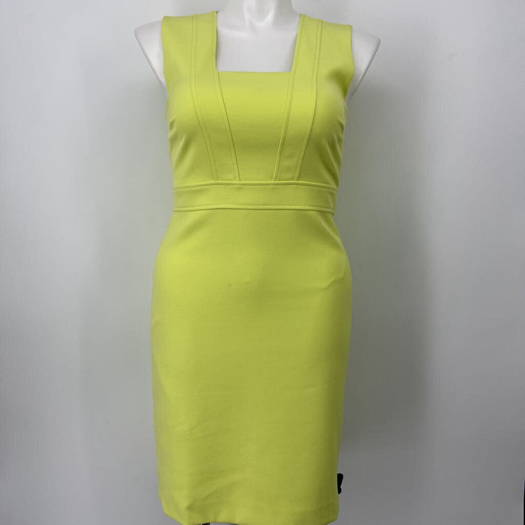 Ann TAylor slvls Dress