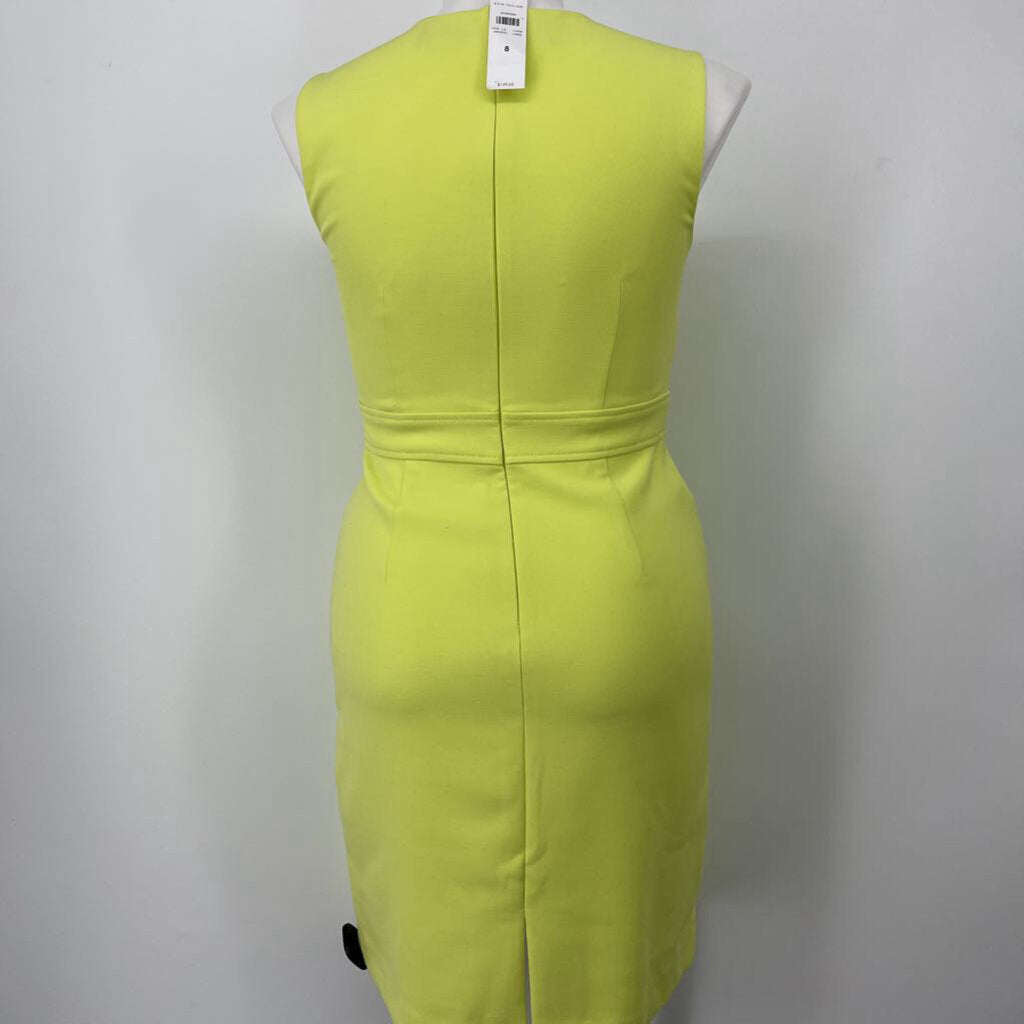 Ann TAylor slvls Dress