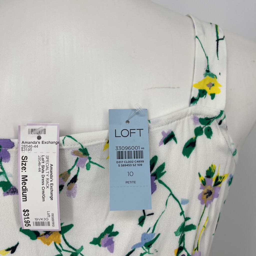 Loft Slvls Dress