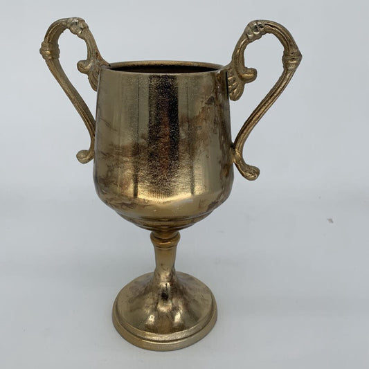 Metal Trophy Cup